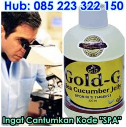 Obat Tradisional Sakit Pinggang